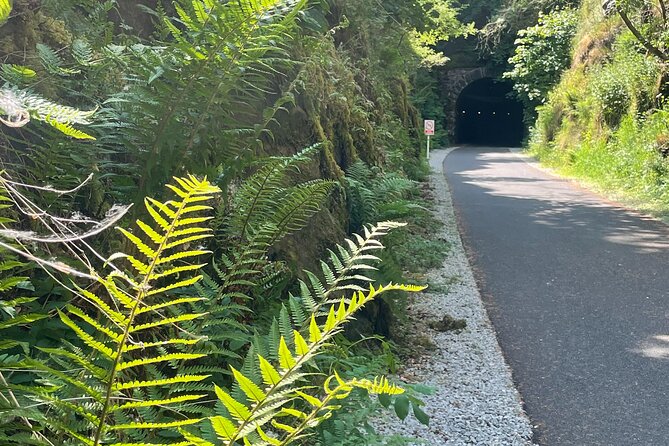 Guided Bike Ride: Exploring the Limerick Greenway - The Sum Up