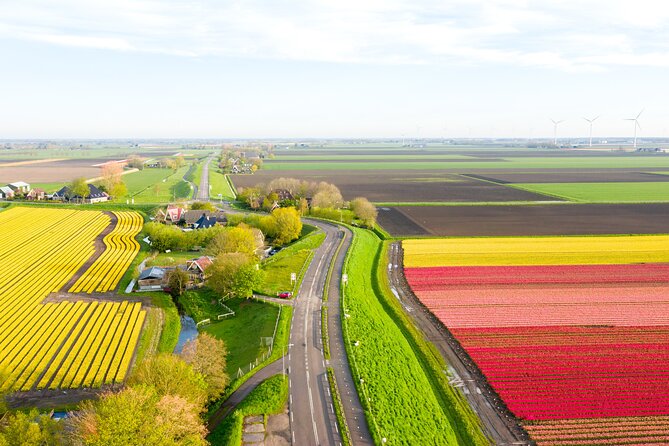 Guided Bike Tour Along the Dutch Tulip Fields in Noord Holland - Tour Details