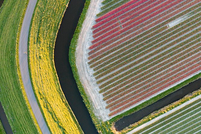 Guided Bike Tour Along the Dutch Tulip Fields in Noord Holland - Exploring Schagen