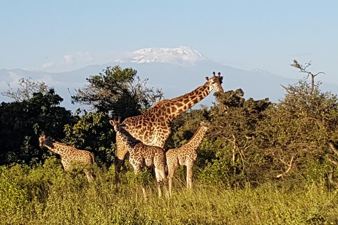 Guided Bike Tour at the Border of Arusha National Park - Tour Duration