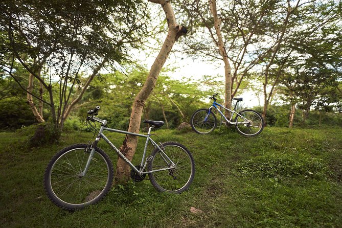 Guided Bike Tour at the Border of Arusha National Park - Expectations