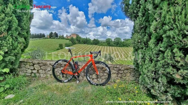 Guided Bike Tour in Chianti, Tuscany, Italy. - Includes