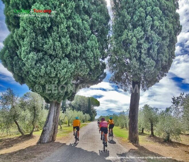 Guided Bike Tour in Chianti, Tuscany, Italy. - Booking Information