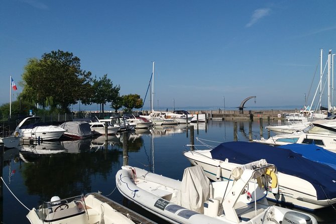 Guided Bike Tour Lake Constance Cycle Path Incl Bregenz Stage & Pfänder Mountain - Tour Inclusions