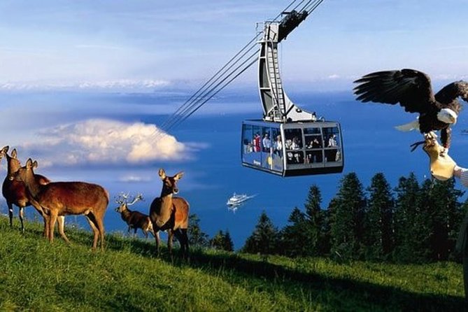 Guided Bike Tour Lake Constance Cycle Path Incl Bregenz Stage & Pfänder Mountain - Pricing and Booking
