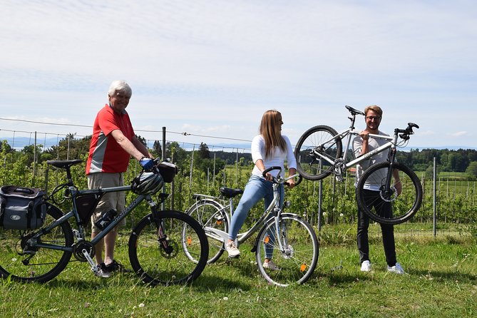 Guided Bike Tour Lake Constance Cycle Path Incl Bregenz Stage & Pfänder Mountain - Tour Details