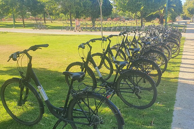 Guided Bike Tour of Seville With a Certified Guide - Tour Duration and Itinerary