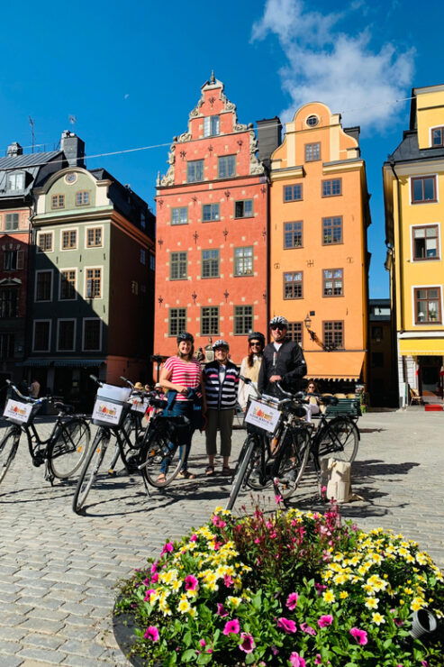 Guided Bike Tour: Stockholm in 3,5h (English or German) - Good To Know