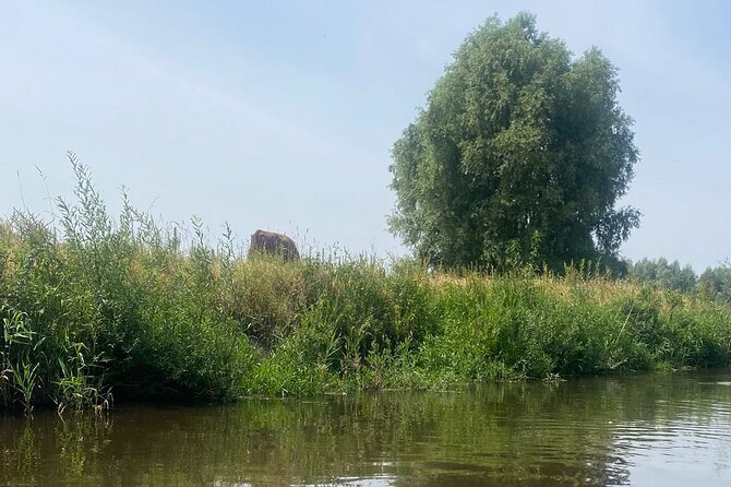Guided Bike Tour Through the Dutch Countryside in Noord- Holland - Meeting and Pickup Details