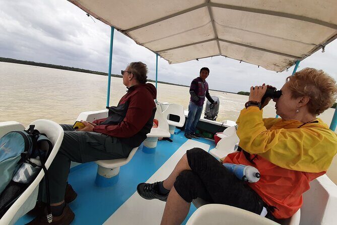 Guided Bird Watching Private Tour in Rio Lagartos from Tulum - The Sum Up