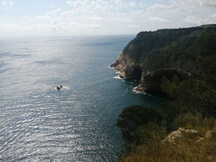 Guided Boat Tour to Medes Islands & Roca Foradada With Swim - Pricing and Duration