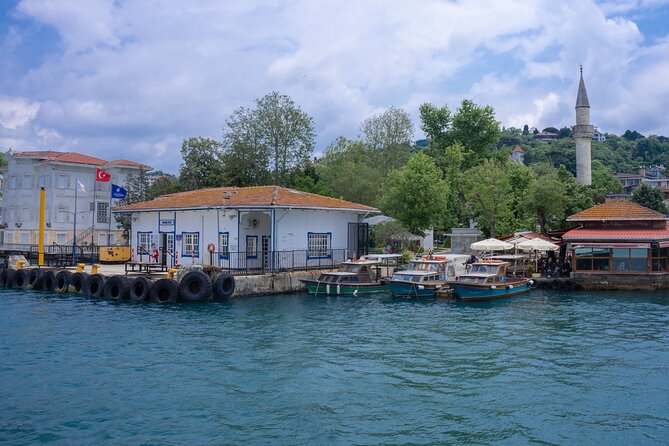 Guided Bosphorus Luxury Yacht Cruise With Stop on Asian Side - Traveler Experience and Photos