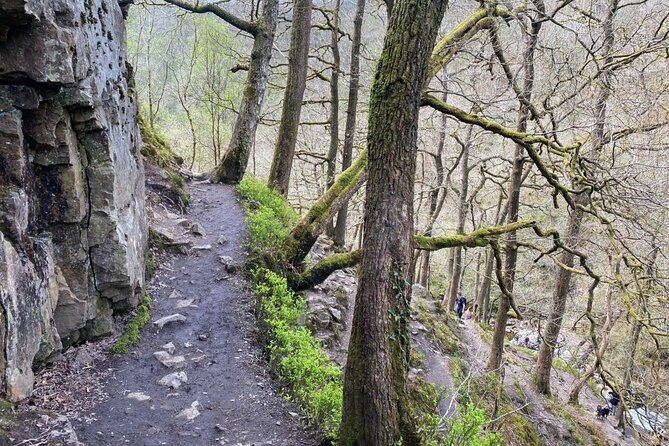 Guided Breacon Beacons 6 Waterfalls in a Day Hike From Cardiff - Expert Guides