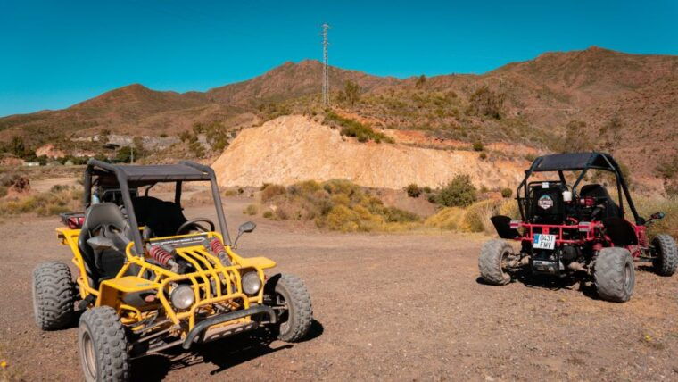 Guided Buggy Tour Mijas - Safety and Requirements