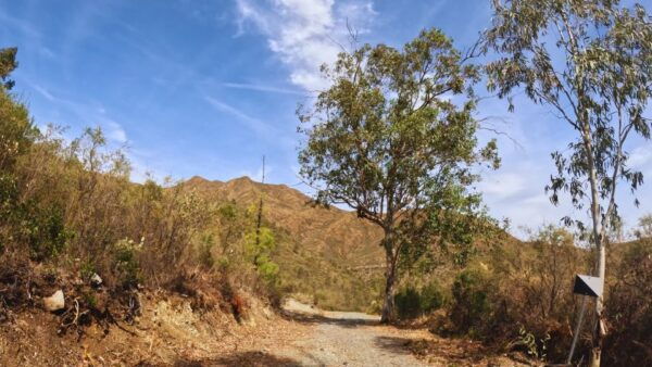 Guided Buggy Tour Mijas - Directions and Location Information