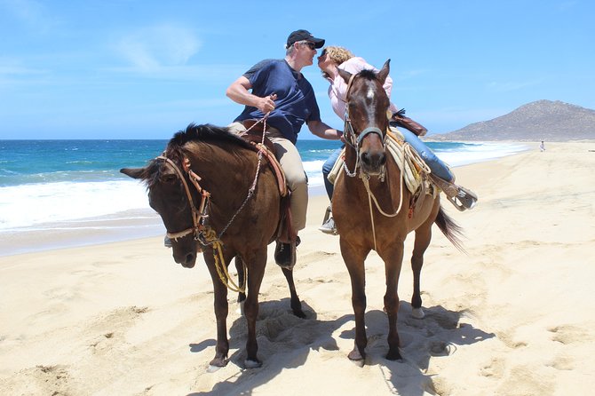 Guided Cabo Horseback Ride With Hotel Pickup  - Cabo San Lucas - Inclusions and Logistics