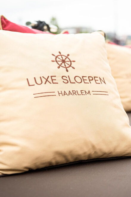 Guided Canal Cruise in Haarlem, See All the Highlights - Relax With Comfortable Cushions