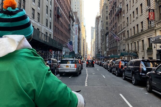 Guided Central Park Pedicab Tour - The Sum Up