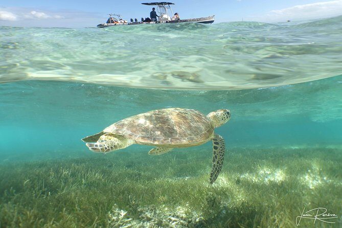 Guided City Orientation Tour of Noumea - Practical Tips for Travelers