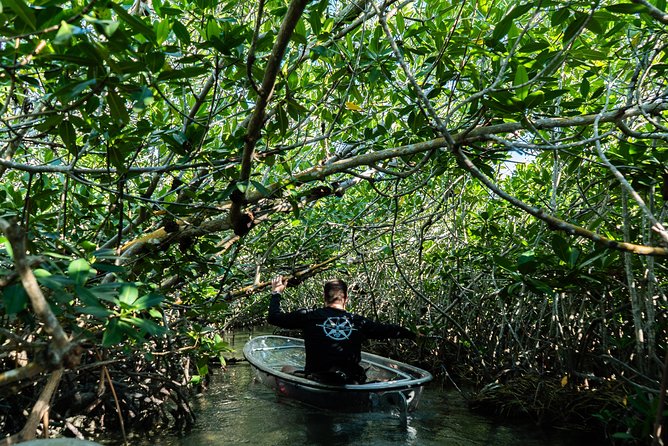 Guided Clear Kayak Eco-Tour of Sugarloaf Key (Near Key West) - Cancellation Policy