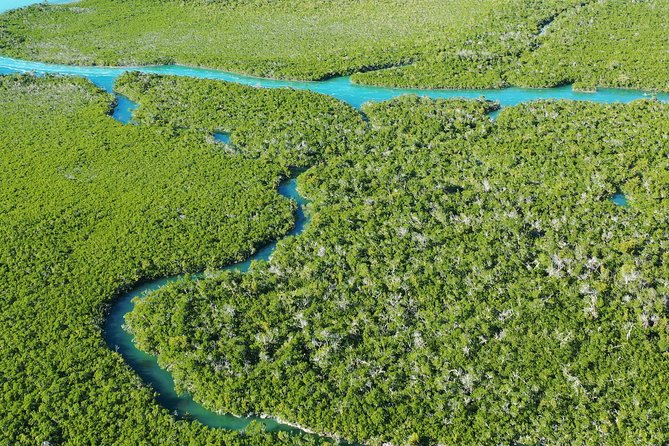 Guided Clear Kayak Eco-Tour of Sugarloaf Key (Near Key West) - Tour Experience and Issues
