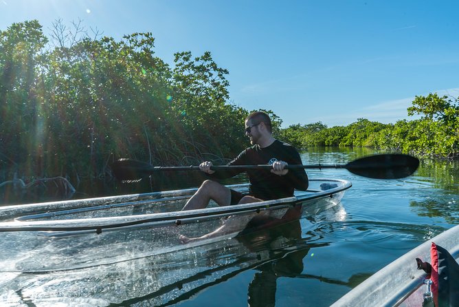 Guided Clear Kayak Eco-Tour of Sugarloaf Key (Near Key West) - Positive Reviews and Overall Satisfaction