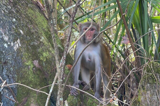 Guided Clear Kayak Tours on the Silver River - The Sum Up