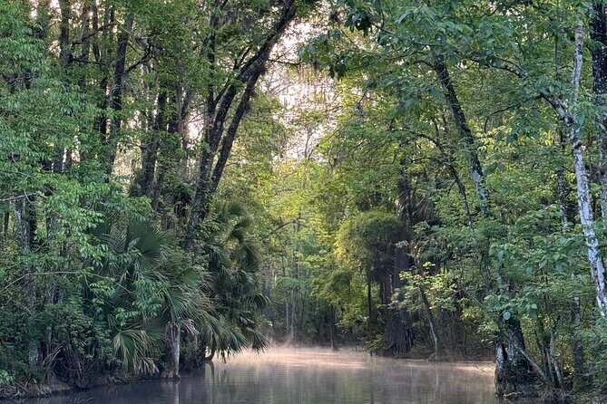 Guided Clear Kayak Tours on the Silver River - Frequently Asked Questions