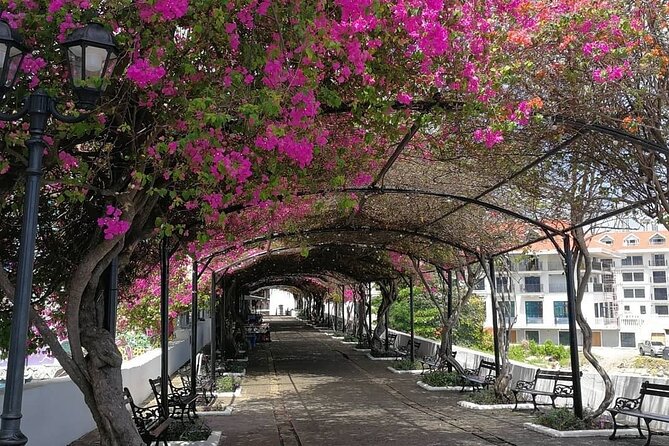 Guided Colonian Heritage Walking Tour in Panama - Meeting Point and Starting Details