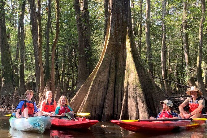 Guided Congaree National Park Kayak Tour - Good To Know