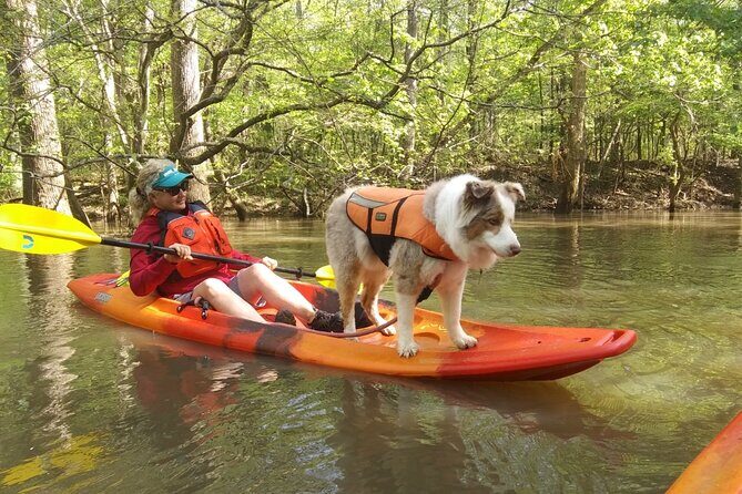 Guided Congaree National Park Kayak Tour - FAQ