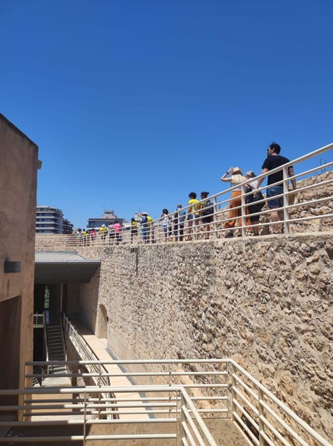Guided Cultural Tour to 3 World Heritage by UNESCO in Elche - Pricing and Inclusions