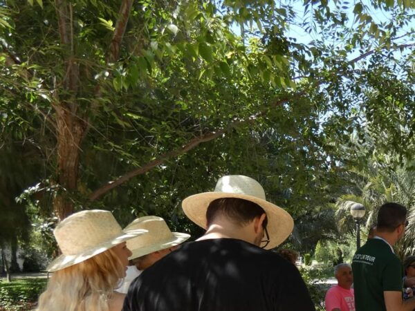 Guided Cultural Tour to 3 World Heritage by UNESCO in Elche - Frequently Asked Questions