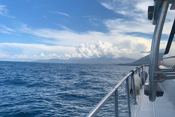 Guided Day by Boat From Palermo - Pricing