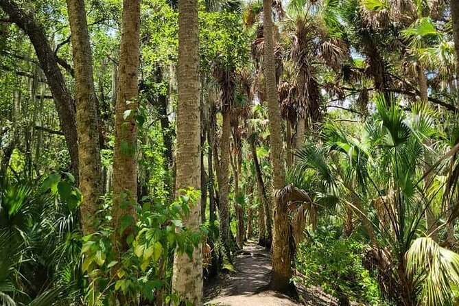 Guided Day Hike Through Floridas Wild Backcountry. - Trail Overview
