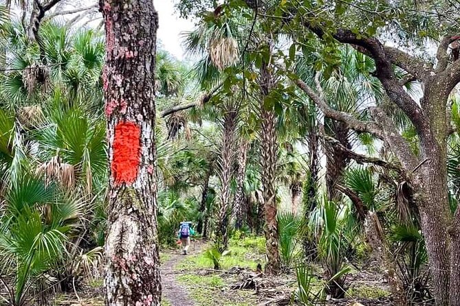 Guided Day Hike Through Floridas Wild Backcountry. - Equipment Needed