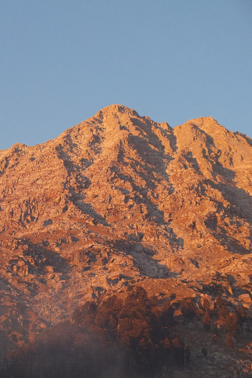 Guided Day Hike to Birni Devi Temple from Palampur - Who Should Consider This Tour?