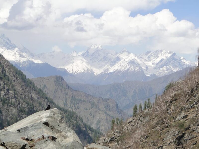 Guided Day Hike to Birni Devi Temple from Palampur - The Sum Up