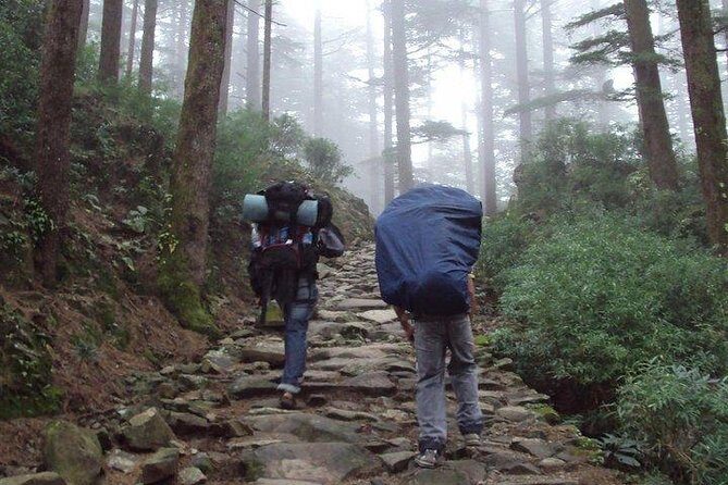 Guided Day Hike to Guna Devi Temple from Mcleodganj - An In-Depth Look at the Guna Devi Hike