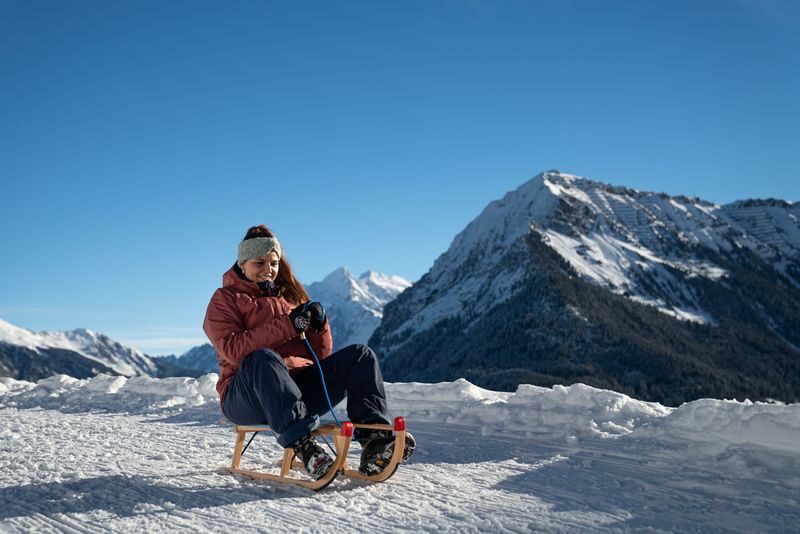 Guided Day Sledding Experience from Interlaken - A three-hour outing with a proper mountain descent