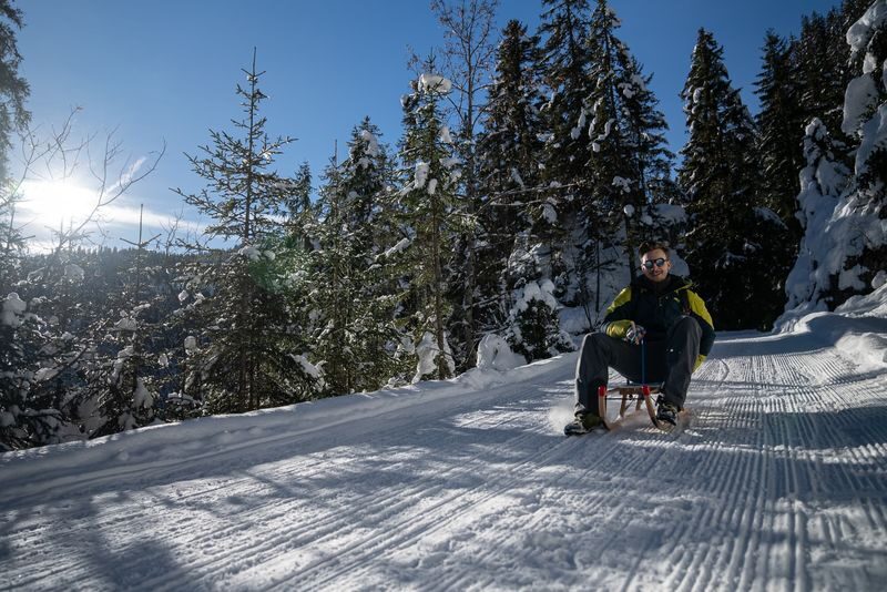 Guided Day Sledding Experience from Interlaken - Learn the basics before the 4.6-kilometer run