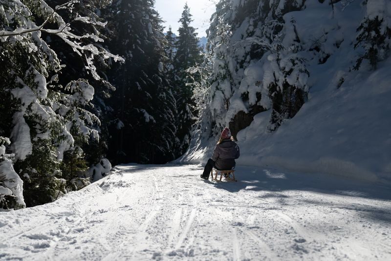Guided Day Sledding Experience from Interlaken - What to wear, and what is already included