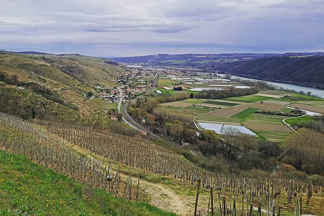 Guided Day Tour and Wine Tasting Northern Rhône Valley - Booking Information