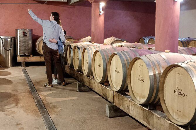 Guided Day Tour and Wine Tasting Northern Rhône Valley - The Sum Up