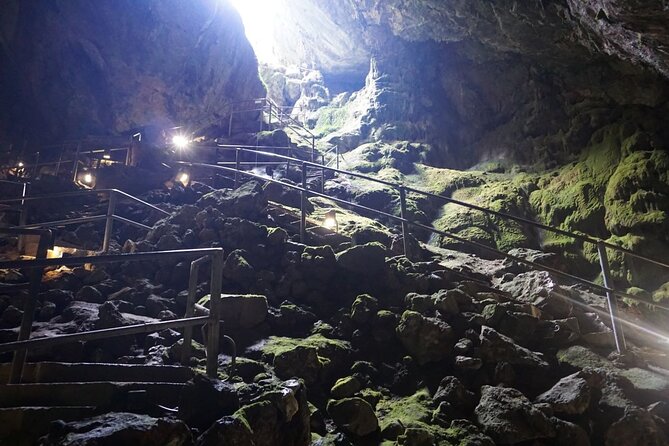 Guided Day Tour in Lasithi Plateau, Zeus Cave, and Villages - Customer Reviews and Responses