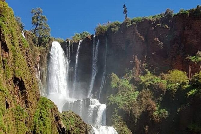 Guided Day Tour of Ouzoud Waterfalls From Marrakech - Important Information for Travelers
