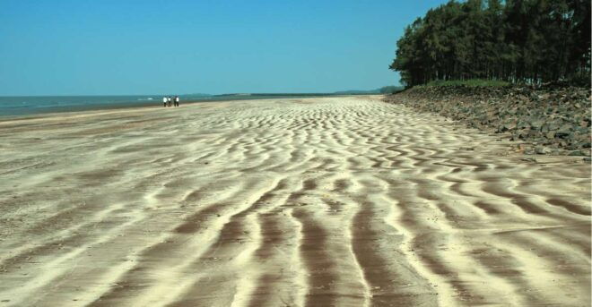 Guided Day Trip to Alibag-Kashid Beach From Mumbai - The Sum Up