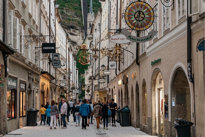 Guided Day Trip to Salzburg With Local From Vienna - Local Guide and Expertise