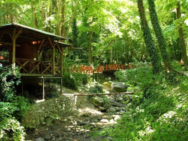 Guided Day Trip to Sapanca and Masukiye From Istanbul - Included Services