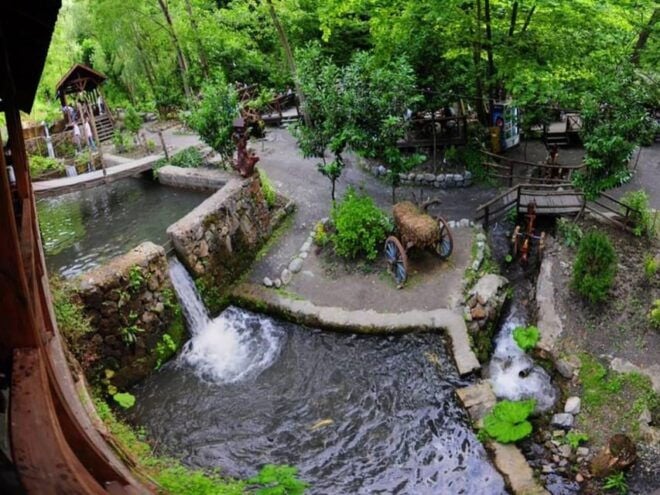 Guided Day Trip to Sapanca and Masukiye From Istanbul - Customer Testimonials